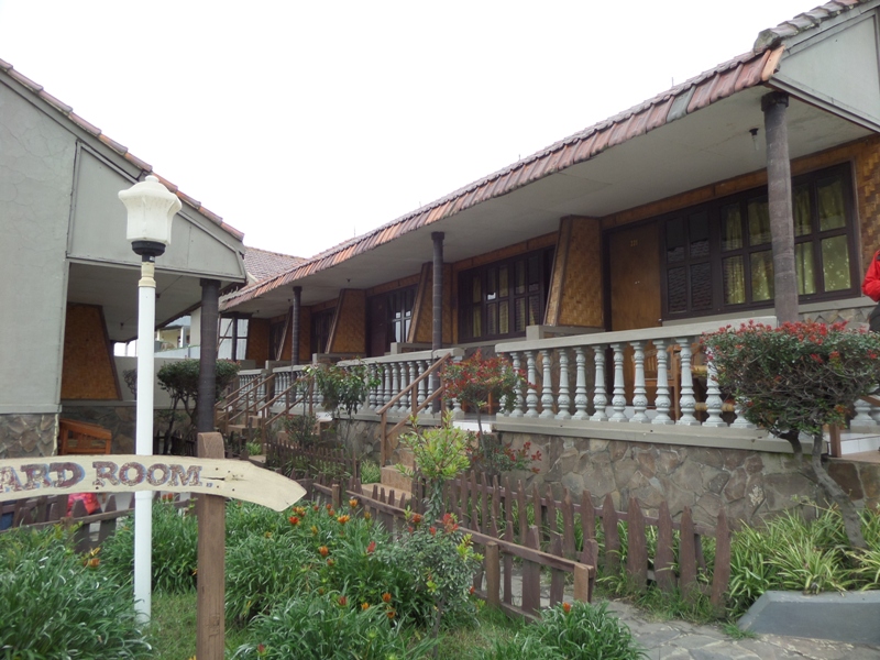 gallery7